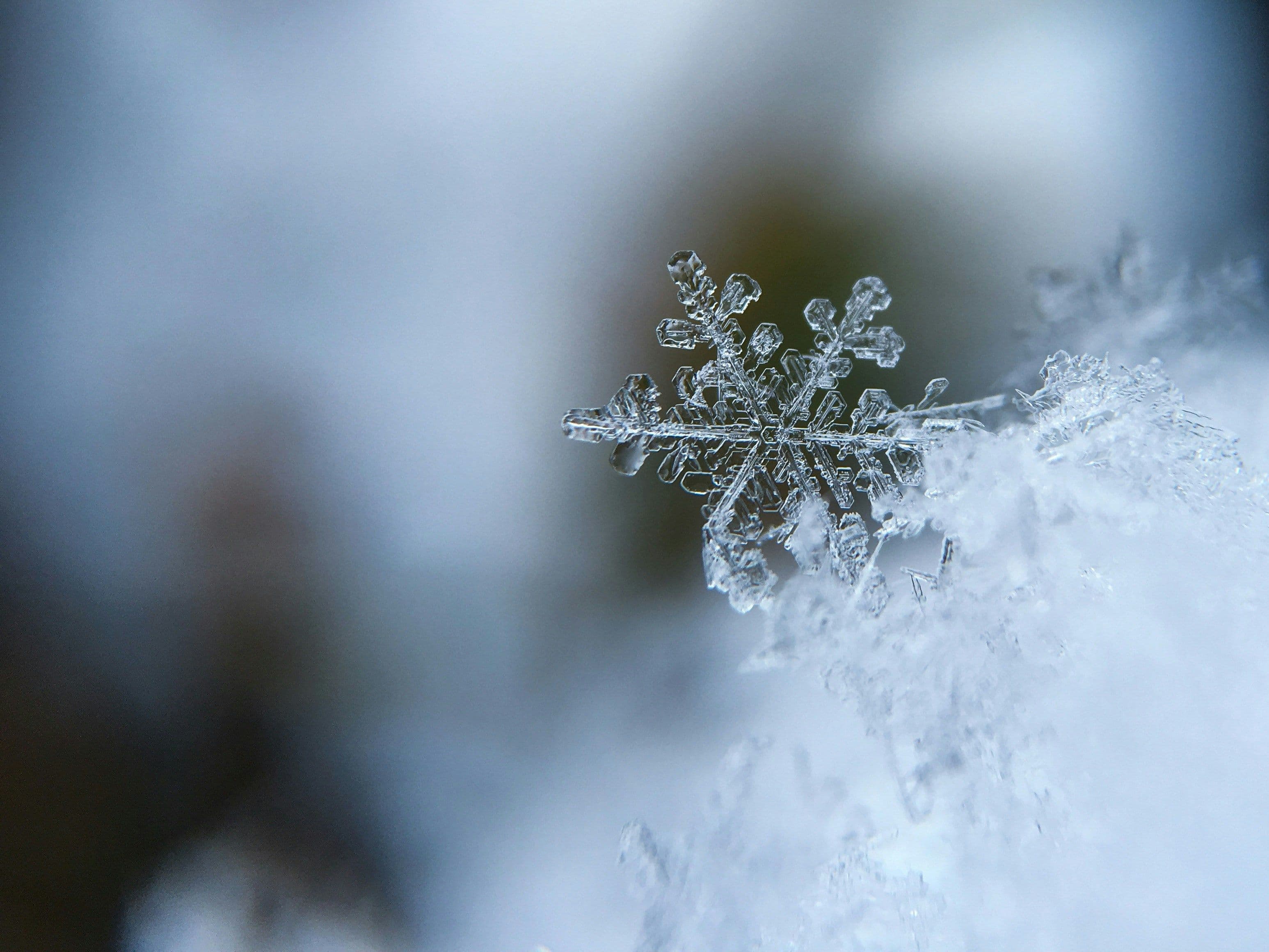 Close-up of a detailed snowflake resting on a bed of snow.